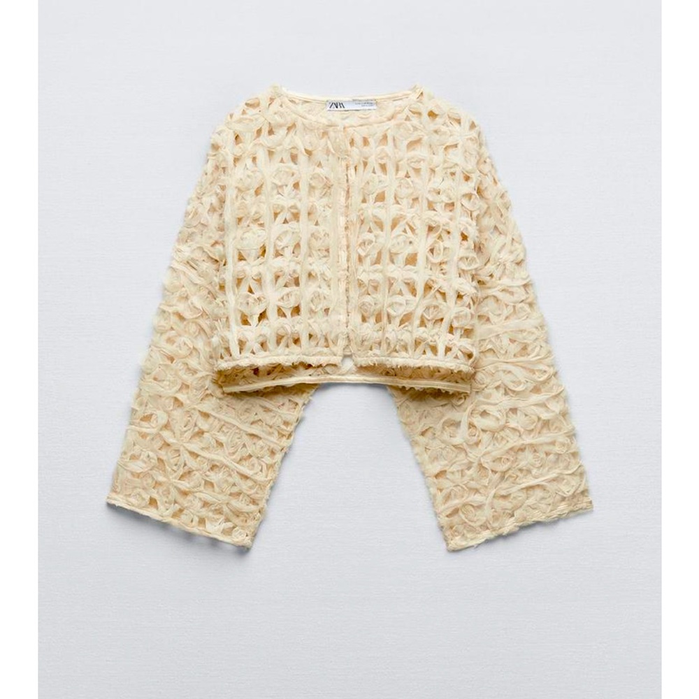 Zara Open weave cropped top